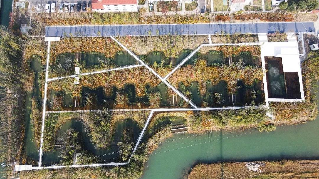 江苏太仓双凤湿地生态修复